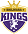 Bhilwara Kings